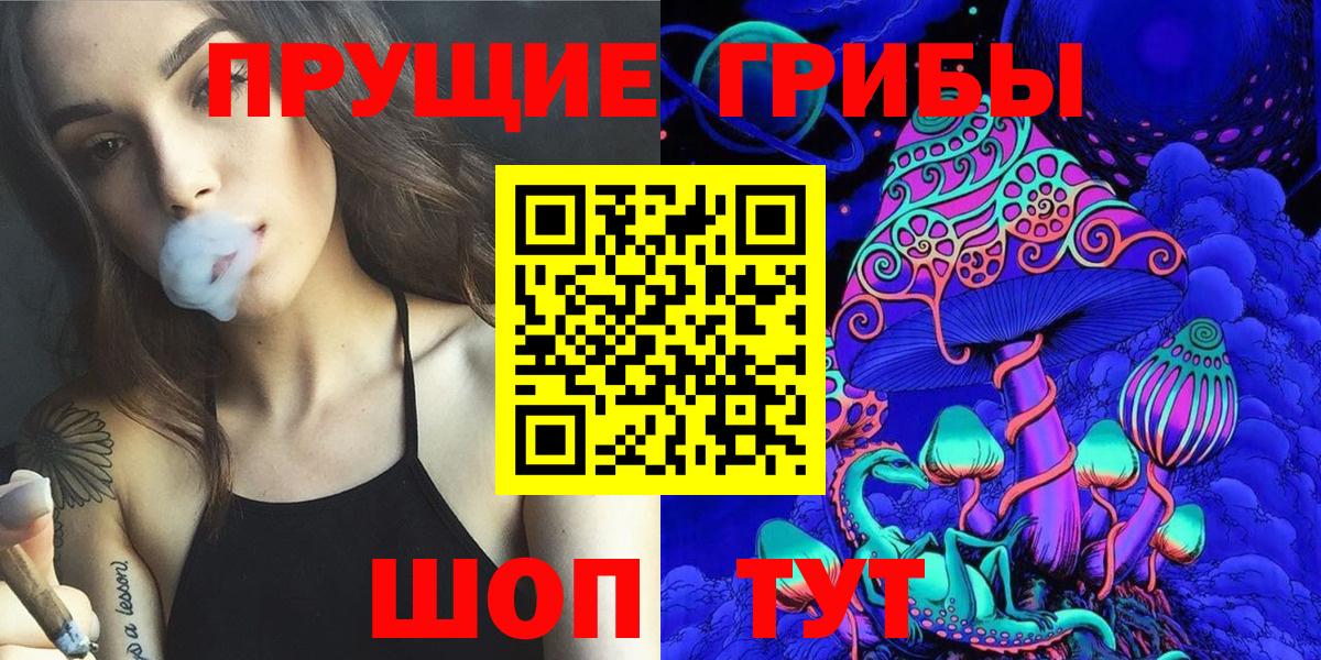 Галлюциногенные грибы Cubensis  Вход с VPN  Галлюциногенные грибы прущие грибы  купить наркотики сайты  Железногорск 