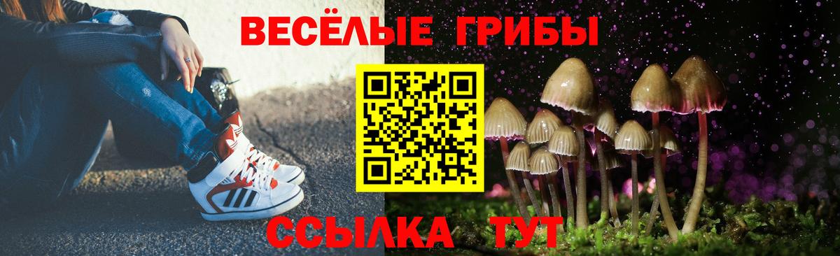 Галлюциногенные грибы GOLDEN TEACHER Железногорск